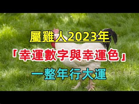 2023屬雞幸運色